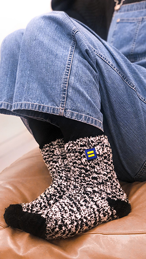 Equality cozy Logo socks