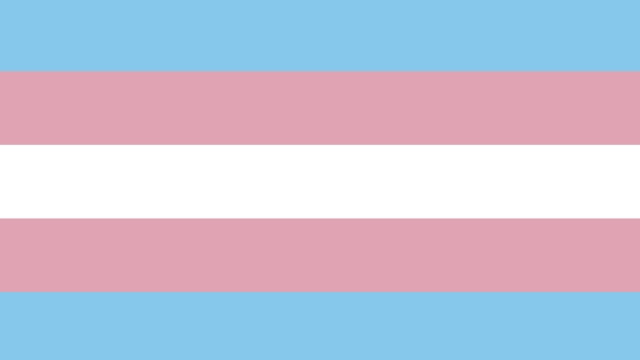 TransgenderFlag-1600x900_640_360.jpg
